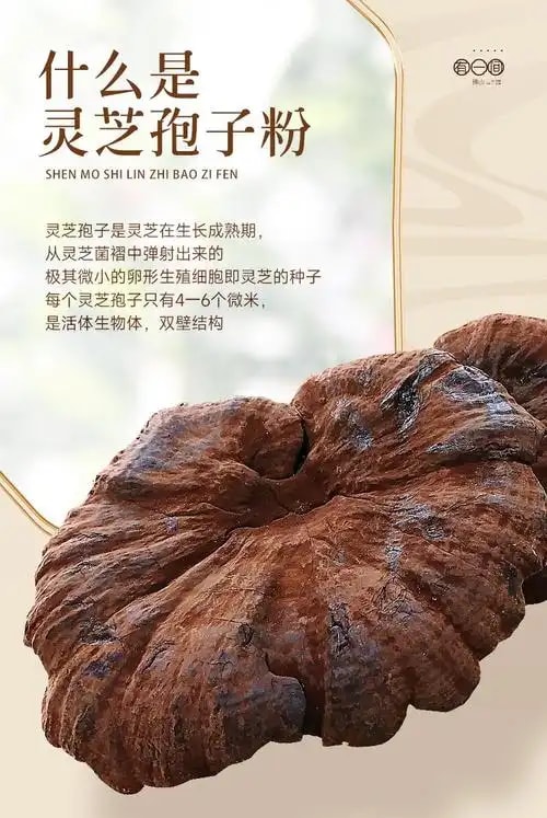灵芝孢子粉