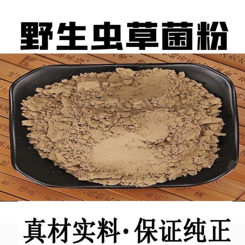 虫草菌丝粉