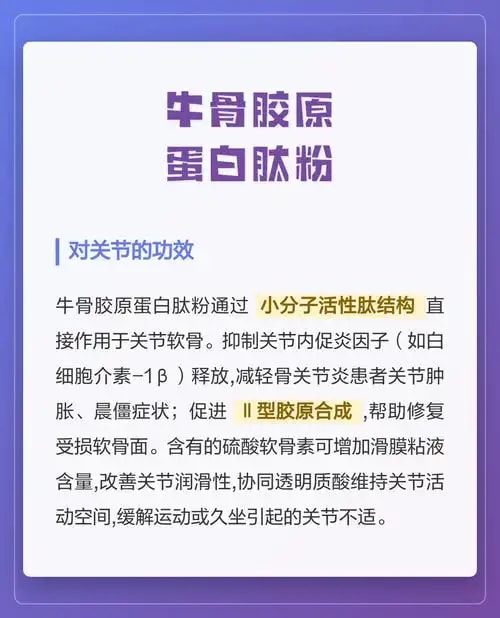 骨胶原蛋白粉