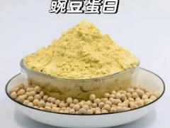 蛋白质粉区域代理招商
