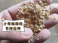 膳食纤维代餐合规解读