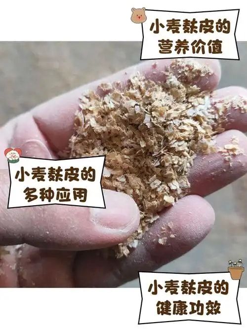 蛋白粉供应